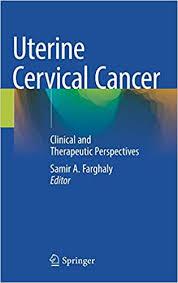 Uterine Cervical Cancer: Clinical and Therapeutic Perspectives 1st ed. 2019 Edition