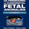 Ultrasound of Congenital Fetal Anomalies: Differential Diagnosis and Prognostic Indicators, Second Edition 2nd Edition