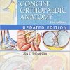 Netter’s Concise Orthopaedic Anatomy, Updated Edition (Netter Basic Science) 2nd Edition