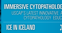 USCAP Immersive Cytopathology Experience ICE in Iceland 2019 (CME VIDEOS)