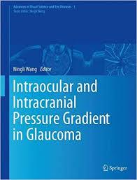 Intraocular and Intracranial Pressure Gradient in Glaucoma (Advances in Visual Science and Eye Diseases Book 1) 1st ed. 2019