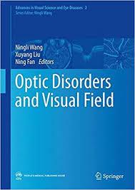 Optic Disorders and Visual Field (Advances in Visual Science and Eye Diseases Book 2) 1st ed. 2019