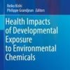 Health Impacts of Developmental Exposure to Environmental Chemicals (Current Topics in Environmental Health and Preventive Medicine) 1st ed. 2020 Edition