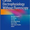 Cardiac Electrophysiology Without Fluoroscopy 1st ed. 2019 Edition