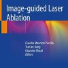 Image-guided Laser Ablation 1st ed. 2020 Edition
