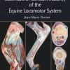 Essentials of Clinical Anatomy of the Equine Locomotor System 1st Edition