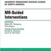 MR-Guided Interventions, An Issue of Magnetic Resonance Imaging Clinics of North America (The Clinics: Radiology) 1st Edition