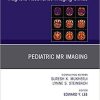 Cardiac Mr Imaging, an Issue of Magnetic Resonance Imaging Clinics of North America (Clinics: Radiology) 1st Edition