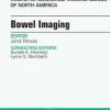MR Imaging of the Bowel, An Issue of Magnetic Resonance Imaging Clinics of North America, E-Book (The Clinics: Radiology)
