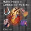 Hybrid Imaging in Cardiovascular Medicine (Imaging in Medical Diagnosis and Therapy) 1st Edition