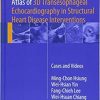 Atlas of 3D Transesophageal Echocardiography in Structural Heart Disease Interventions: Cases and Videos 1st ed. 2018 Edition