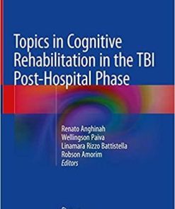 Topics in Cognitive Rehabilitation in the TBI Post-Hospital Phase 1st ed. 2018 Edition