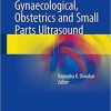 Basics of Abdominal, Gynaecological, Obstetrics and Small Parts Ultrasound 1st ed. 2018 Edition