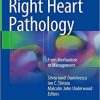 Right Heart Pathology: From Mechanism to Management 1st ed. 2018 Edition