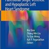 Surgical Atlas of Functional Single Ventricle and Hypoplastic Left Heart Syndrome 1st ed. 2018 Edition