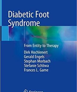 Diabetic Foot Syndrome: From Entity to Therapy 1st ed. 2018 Edition