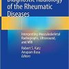Diagnostic Radiology of the Rheumatic Diseases: Interpreting Musculoskeletal Radiographs, Ultrasound, and MRI Hardcover – November 1, 2019