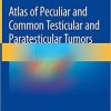 Atlas of Peculiar and Common Testicular and Paratesticular Tumors 1st ed. 2020 Edition