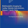 Multimodality Imaging for Cardiac Valvular Interventions, Volume 1 Aortic Valve: From Diagnosis to Decision-Making 1st ed. 2020 Edition