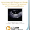 AIUM Using Ultrasound to Diagnose and Manage Patients with Abnormal Premenopausal and Postmenopausal Bleeding (CME VIDEOS)