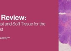 2021 Pathology Review: Gynecologic, Breast and Soft Tissue for the General Pathologist