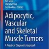 Adipocytic, Vascular and Skeletal Muscle Tumors: A Practical Diagnostic Approach (Current Clinical Pathology) 1st ed. 2020 Edition