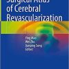 Surgical Atlas of Cerebral Revascularization 1st ed. 2021 Edition