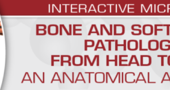 USCAP Bone and Soft Tissue Pathology from Head to Toe: An Anatomical Approach 2022 CME VIDEOS