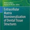 Extracellular Matrix Biomineralization of Dental Tissue Structures (Biology of Extracellular Matrix, 10) 1st ed. 2021 Edition