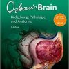 Osborn’s Brain: Bildgebung, Pathologie und Anatomie