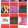 American Journal of Gastroenterology 2021 Full Archives