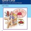 Tumors of the Spinal Canal: Surgical Approaches and Future Therapies 1st Edition