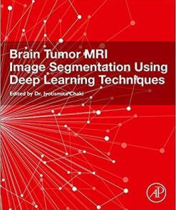 Brain Tumor MRI Image Segmentation Using Deep Learning Techniques 1st Edition