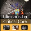 Ultrasound in Critical Care 1st Edition