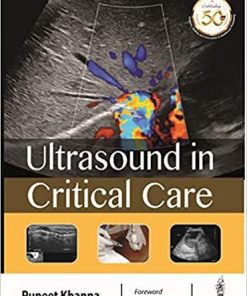 Ultrasound in Critical Care 1st Edition