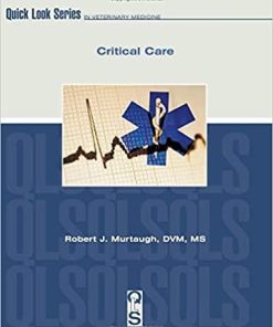 Critical Care (Quick Look Series) 1st Edition
