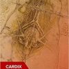 Manual of Cardiovascular Medicine 1st Edition