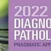 2022 Diagnostic Pathology Update: Pragmatic Approaches to Daily Practice (CME VIDEOS)