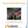 AIUM Point-of-Care Ultrasound Assessment of Acute Bowel Pathology (CME VIDEOS)