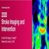 2020 Stroke Imaging and Intervention (CME VIDEOS)