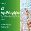 2020 Surgical Pathology Update Diagnostic Pearls for the Practicing Pathologist Vol. IV (CME VIDEOS)