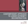 Contemporary Approach to Lower Extremity Reconstruction, An Issue of Clinics in Plastic Surgery (PDF)