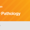 Classic Lectures in Pathology: What You Need to Know: Genitourinary 2022