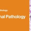 2021 Classic Lectures in Pathology: What You Need to Know: Gastrointestinal Pathology (CME VIDEOS)