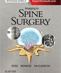 Imaging in Spine Surgery (Hot Topics) (PDF)