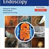 Gastroenterological Endoscopy, 3rd Edition (EPUB)