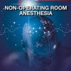 Non-Operating Room Anesthesia (PDF Book)