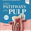 Cohen’s Pathways of the Pulp 12th Edition ( Epub )