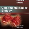 Lippincott Illustrated Reviews: Cell and Molecular Biology, 2nd Edition (EPUB)
