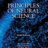 Principles of Neural Science, Sixth Edition (High Quality PDF)
